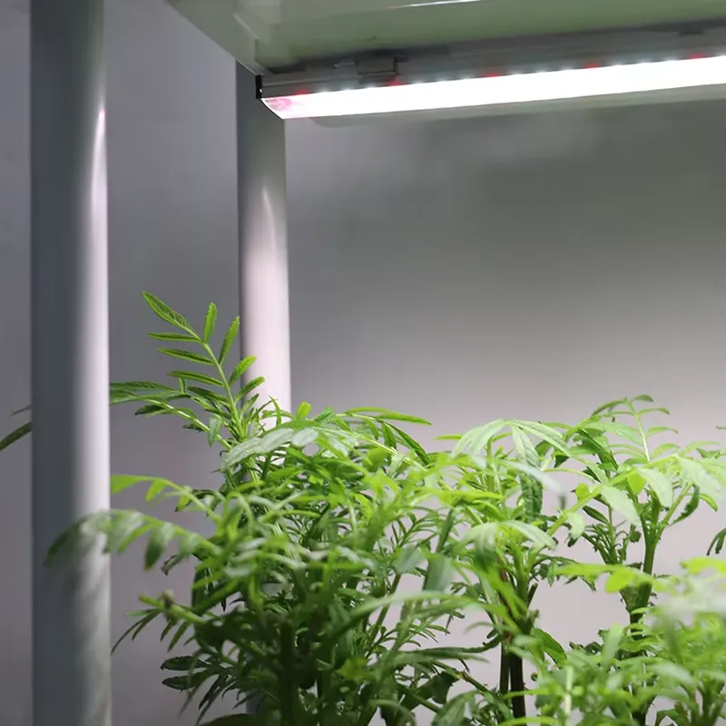 Smart Garden Vertical - Beweglicher Vertikaler 3-Ebenen-Gartenbehälter mit Selbstbewässerung und