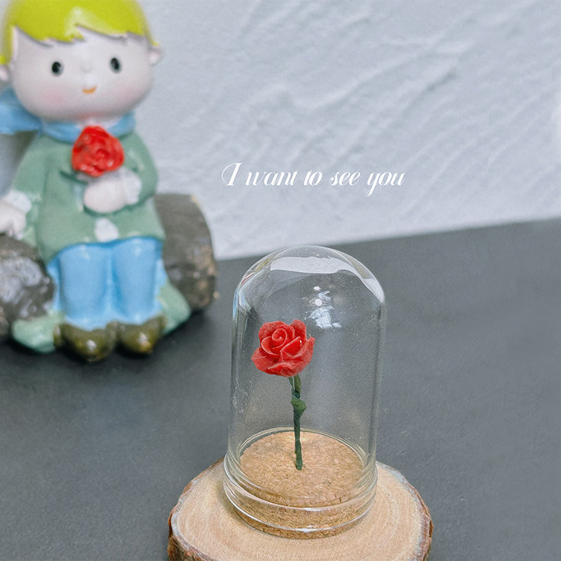 1/5 Stück Rose unter Glas Cloc – Smart Garden Mini Bewertung und Preis