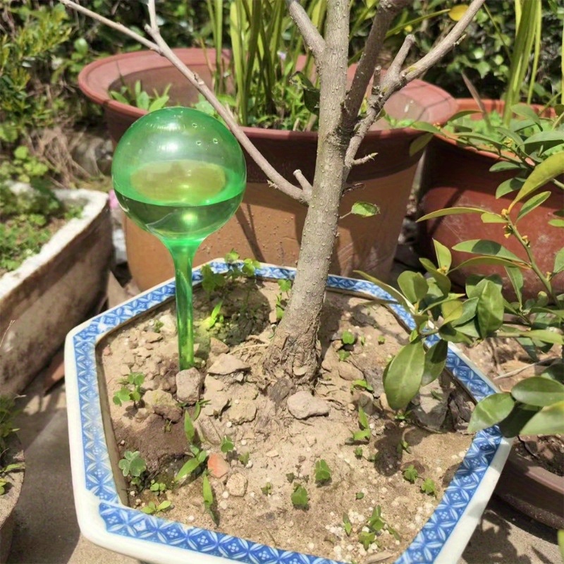 6 Stück Selbstbewässernde Bäll – Smart Garden Project Bewertung und Preis