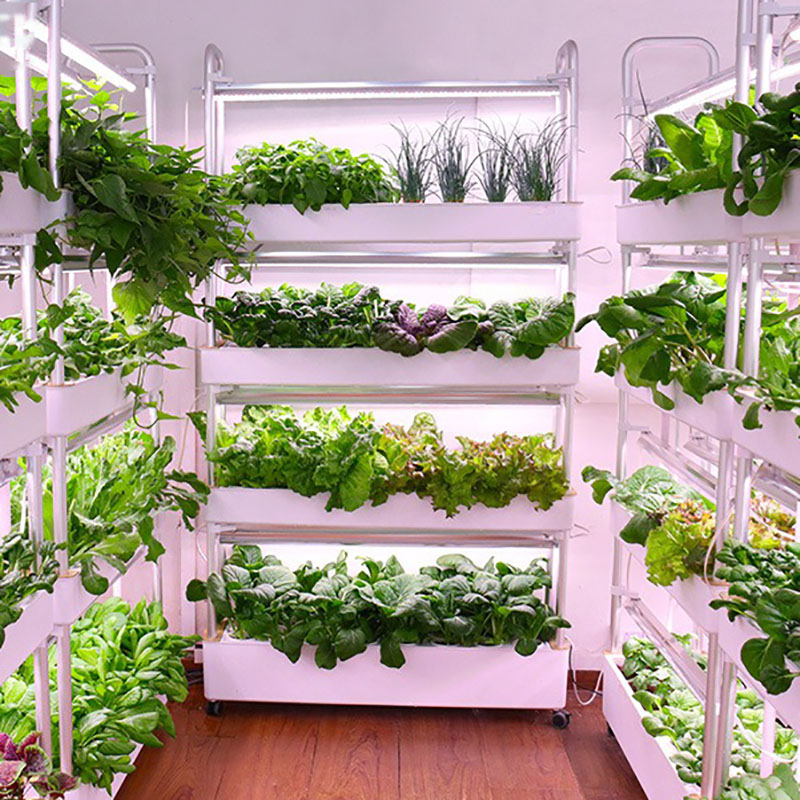 Hydrokultur-Anbausystem, verti – Smart Garden Vertical Bewertung und Preis