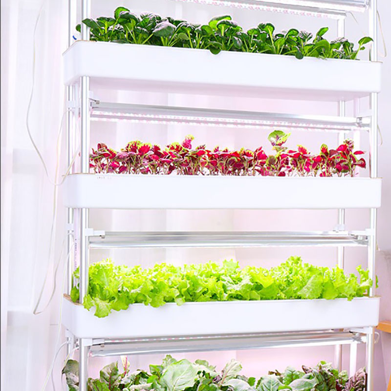 Hydrokultur-Anbausystem, verti – Smart Garden Vertical Bewertung und Preis