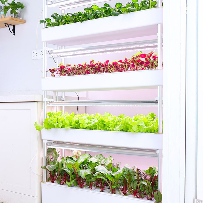 Hydrokultur-Anbausystem, verti – Smart Garden Vertical Bewertung und Preis