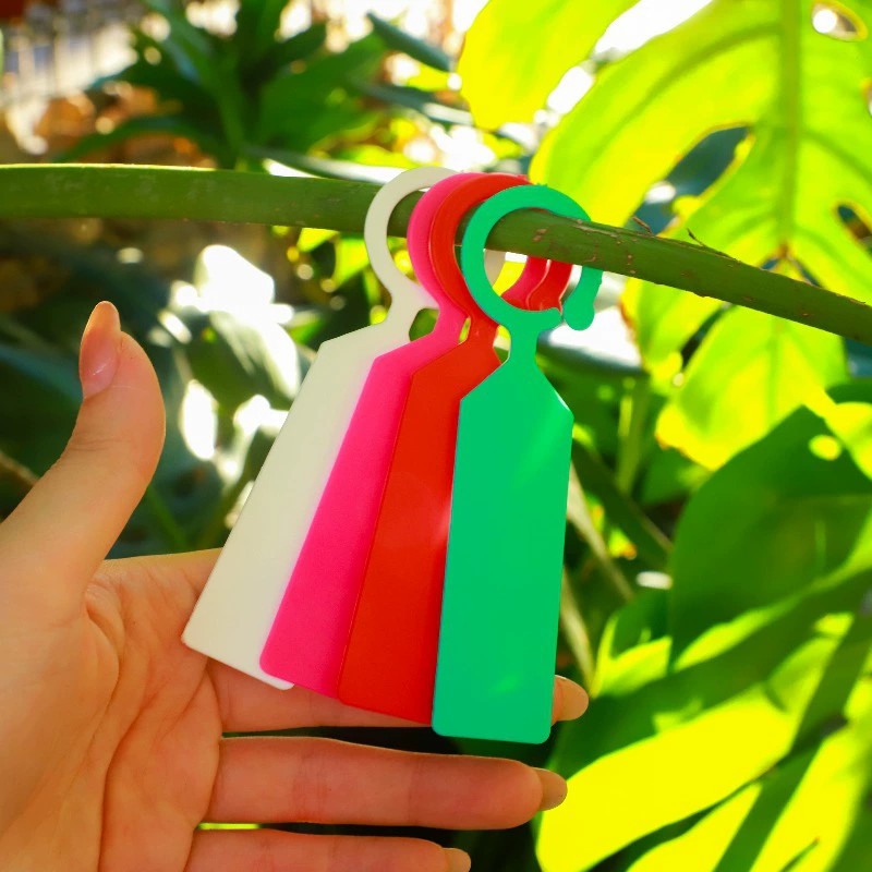 100 Stück Ringförmige Pflanzen – Garden Journal Planner Bewertung und Preis