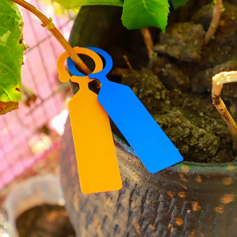 100 Stück Ringförmige Pflanzen – Garden Journal Planner Bewertung und Preis