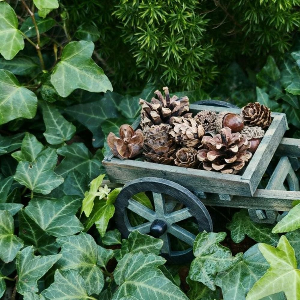 Hochwertiges Puppenhaus im Maß – Smart Garden Mini Bewertung und Preis